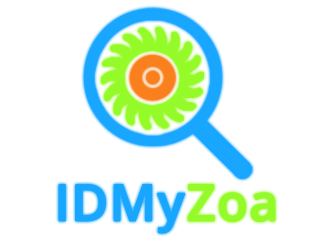 IDMyZoa Logo